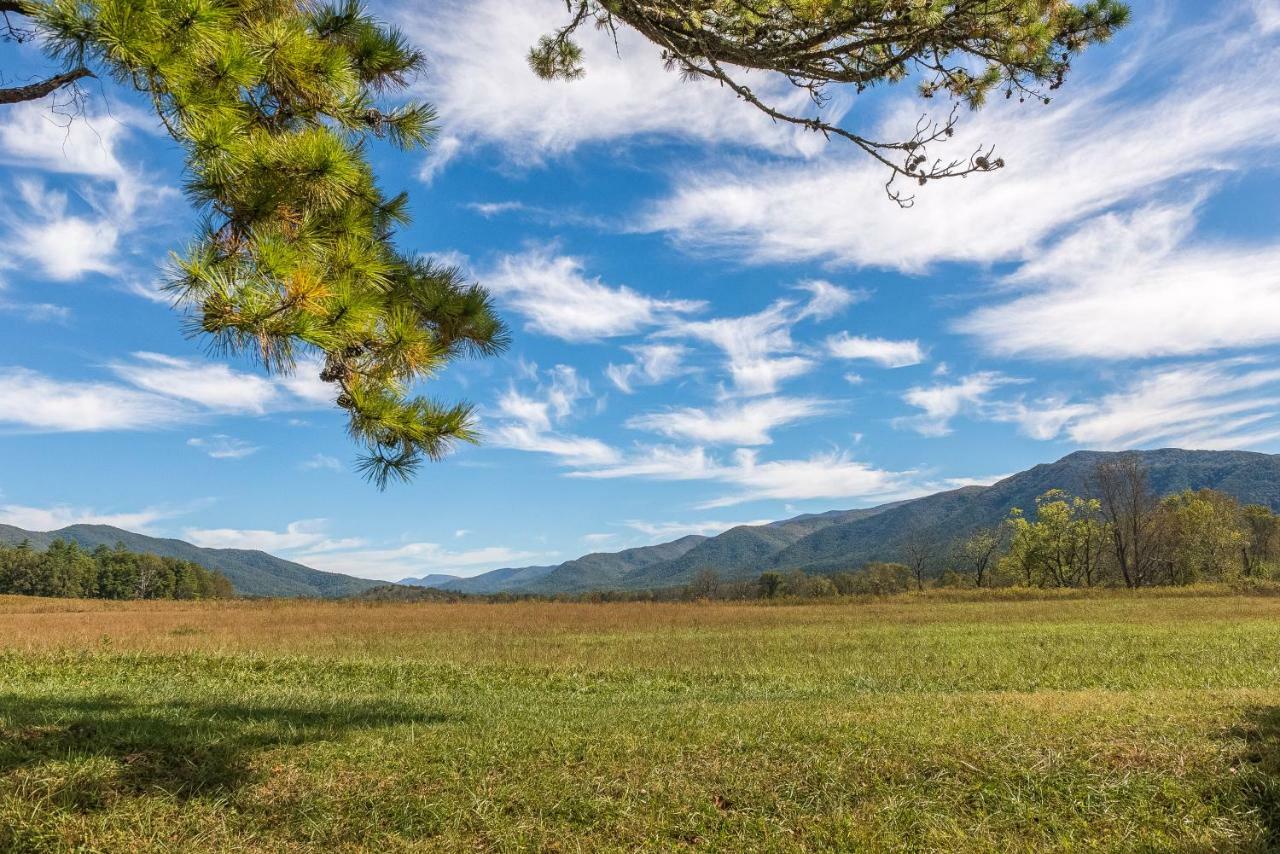 Smoky Bear Hideout Villa Sevierville Dış mekan fotoğraf